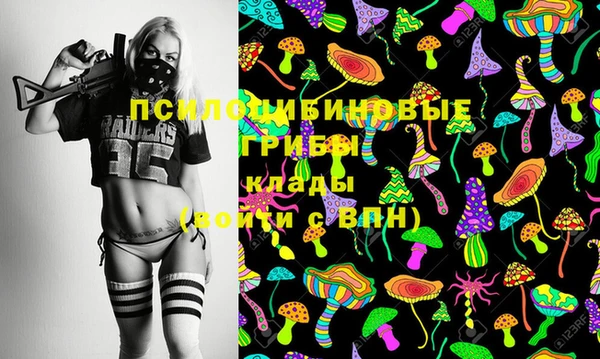 гидра Алексеевка