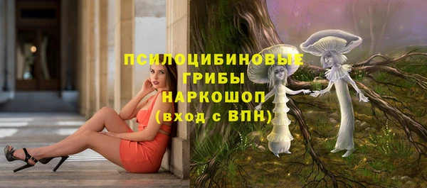 гидра Алексеевка