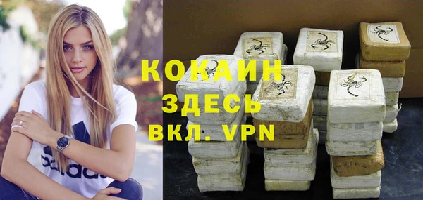 гидра Алексеевка