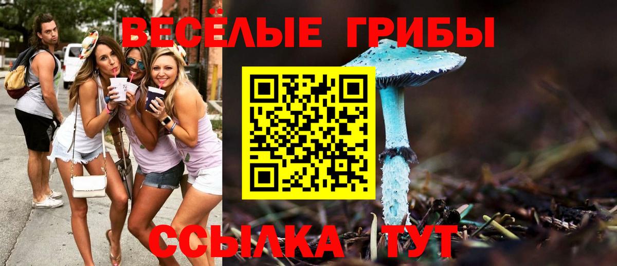 Галлюциногенные грибы мухоморы  купить   Вход с VPN  Ачинск  Псилоцибиновые грибы мухоморы 